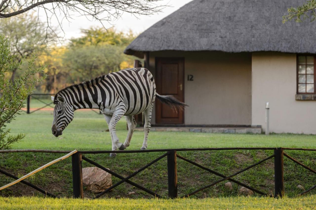 Mongena Private Game Lodge Rust de Winter Zewnętrze zdjęcie