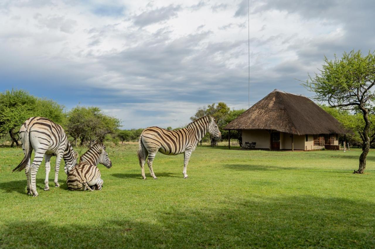 Mongena Private Game Lodge Rust de Winter Zewnętrze zdjęcie